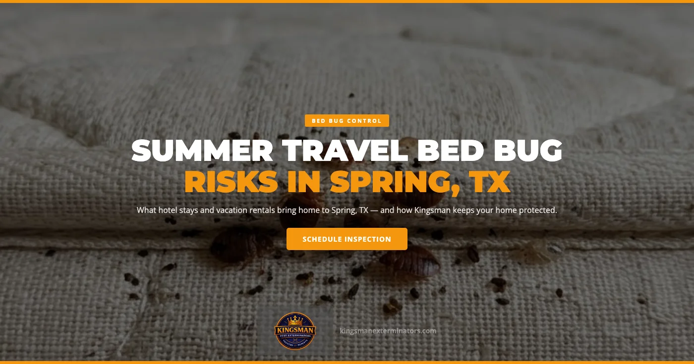 Summer Travel Bed Bug Risks in Spring, TX: What Hotel Stays and Vacation Rentals Bring Home — Spring, TX