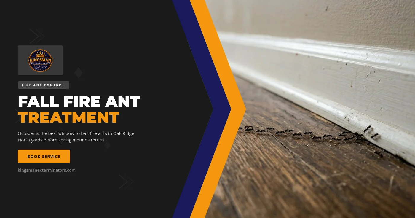 A pest control technician spreading fire ant bait across a green lawn beside a fresh fire ant mound in an Oak Ridge North, TX backyard.