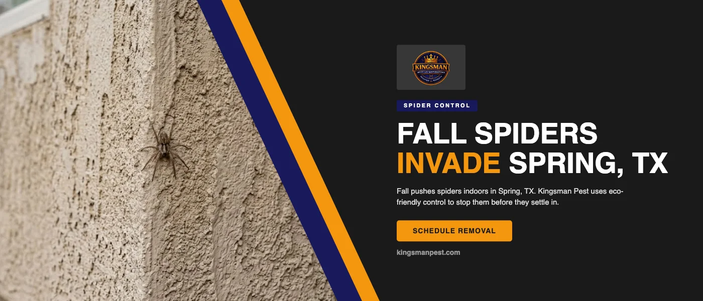 Why Fall Sends Spiders Indoors in Spring, TX — and How to Stop Them Before They Settle In