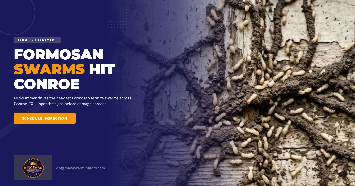 Formosan termite swarm and termite treatment services in Conroe TX - Kingsman Pest Exterminators