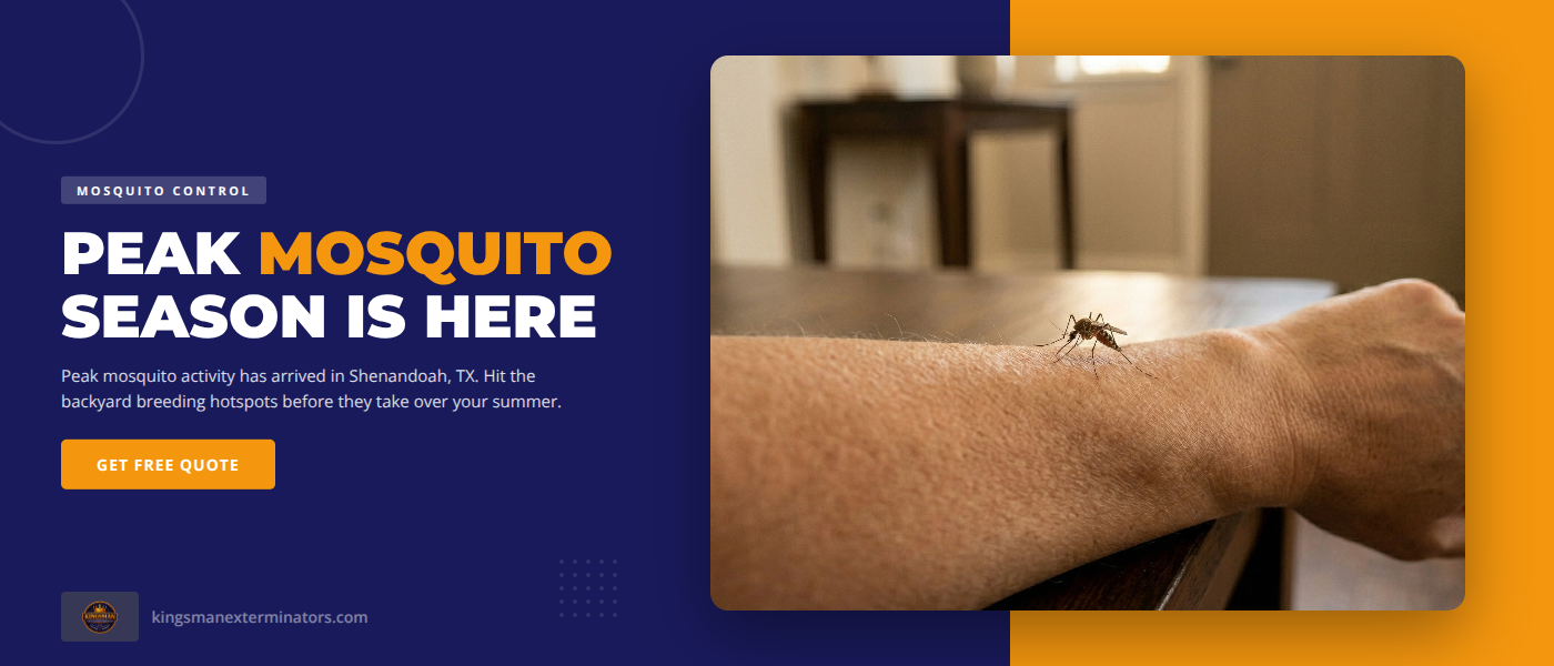 Mosquito Control blog featured image