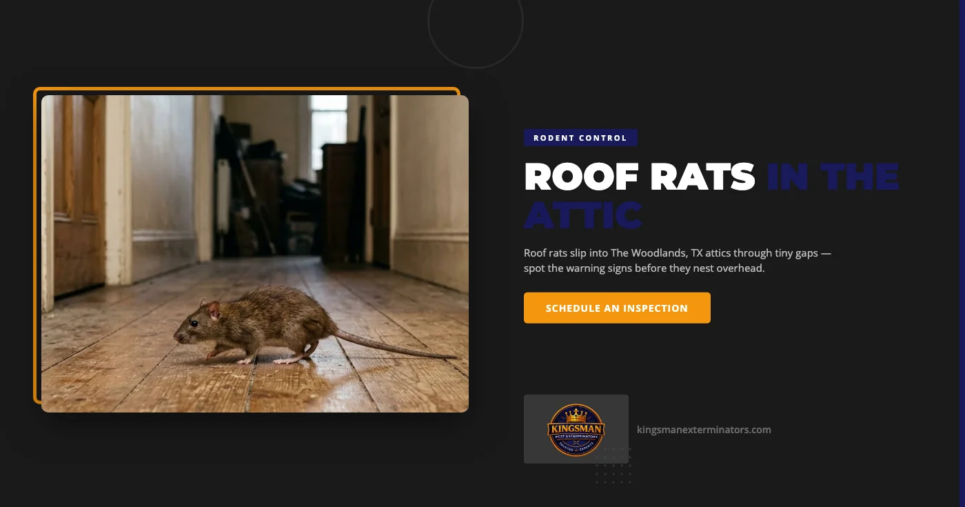 Roof Rats in The Woodlands, TX: Why September Is Prime Season for Fall Home Invasions