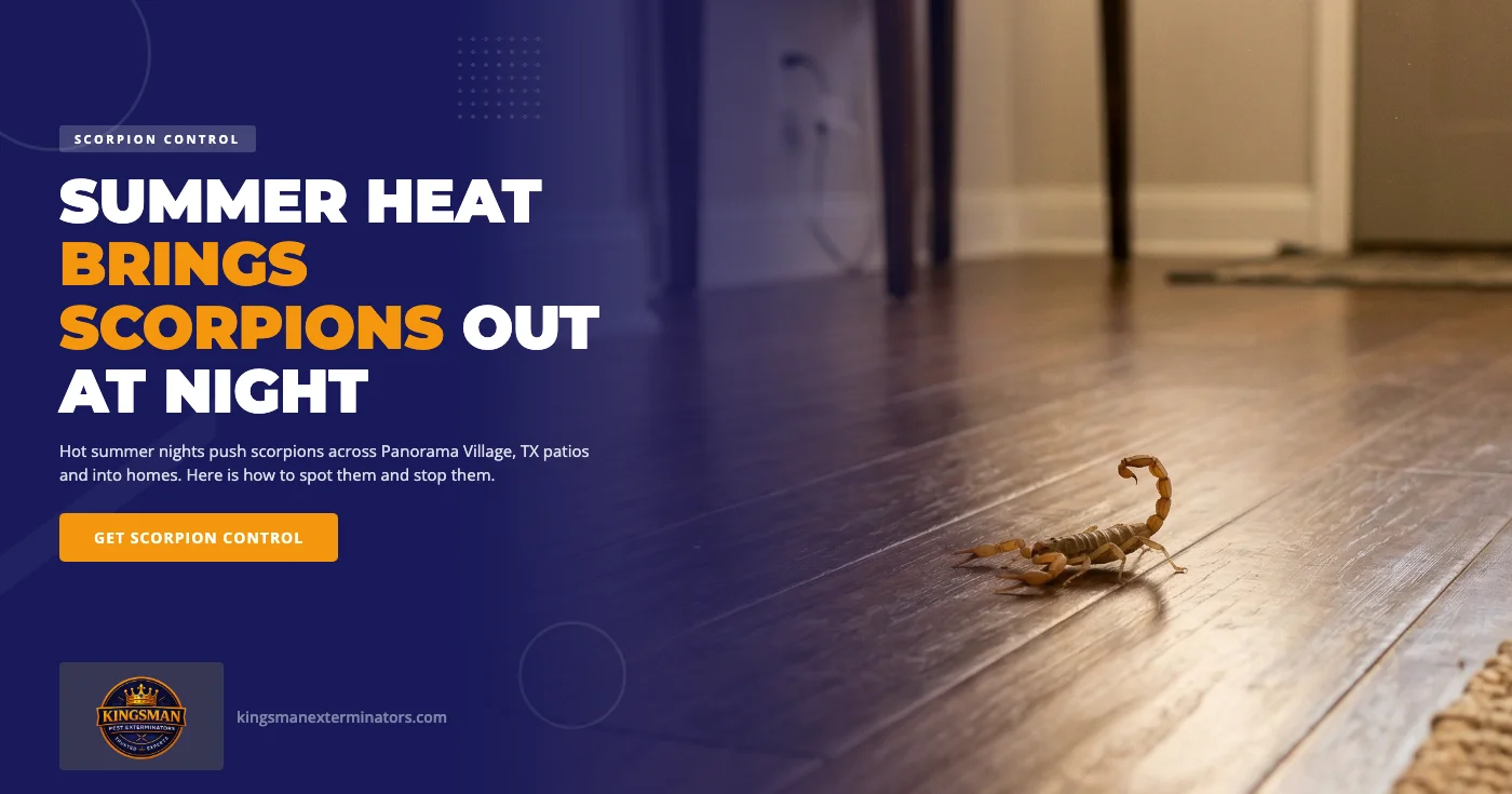 Striped bark scorpion control and summer scorpion treatment in Panorama Village TX - Kingsman Pest Exterminators