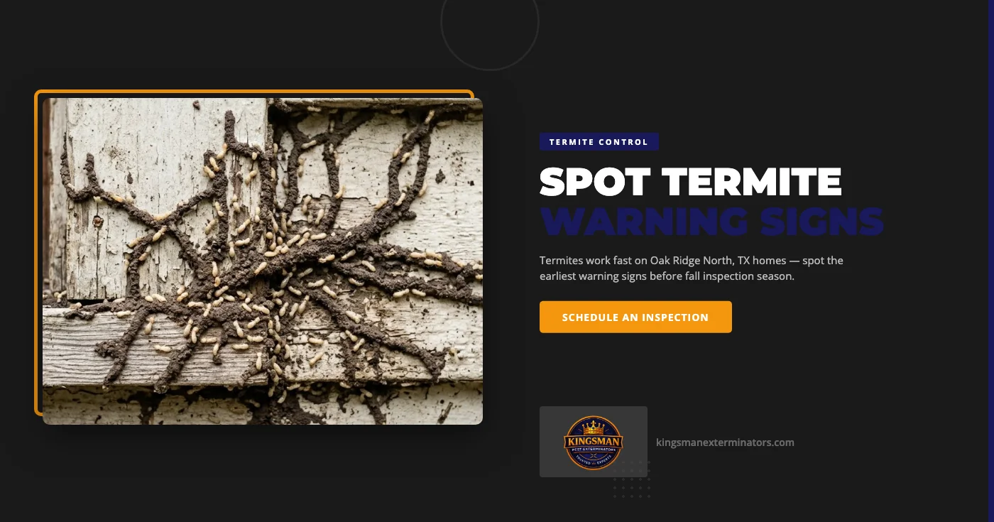 How Oak Ridge North, TX Homeowners Can Spot Early Termite Damage Before Fall